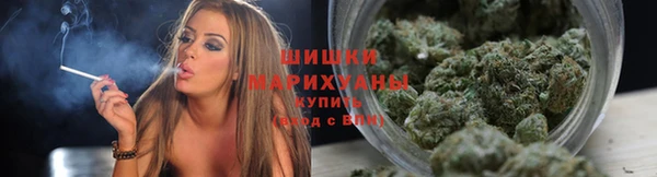 прущие грибы Михайловск