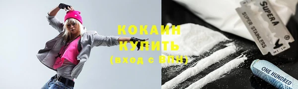 прущие грибы Михайловск