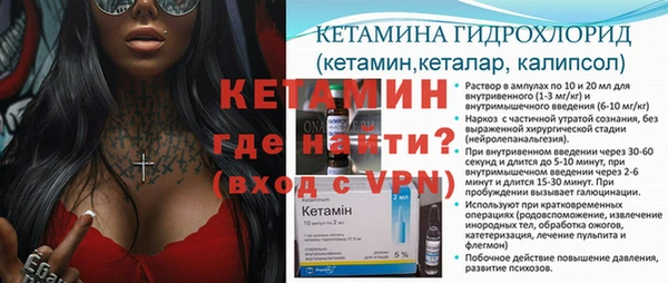 прущие грибы Михайловск