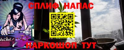 ешки Дубна