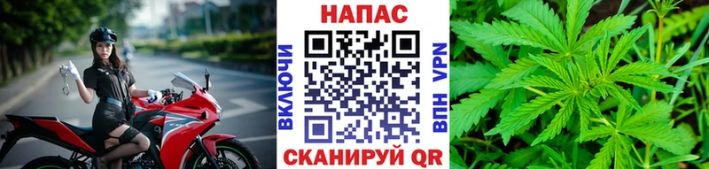 МАРИХУАНА конопля Карачаевск